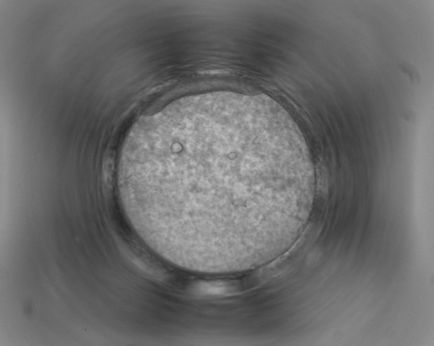 X0000112770171200910011244