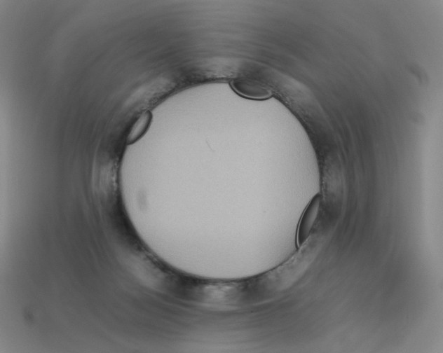 X0000112770172200910011244