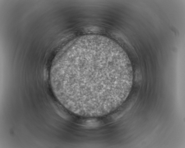 X0000112770173200910011244