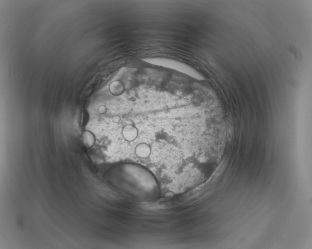 X0000112770175200910011244