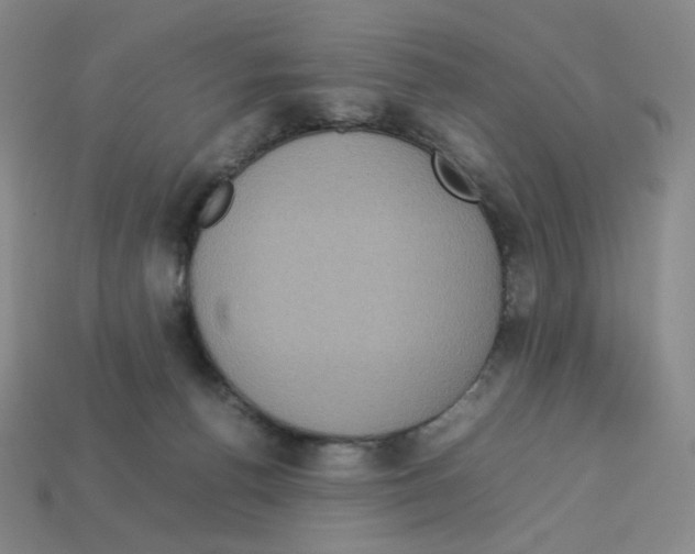 X0000112770176200910011244