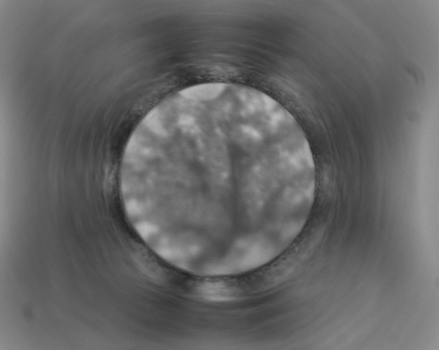 X0000112770177200910011244