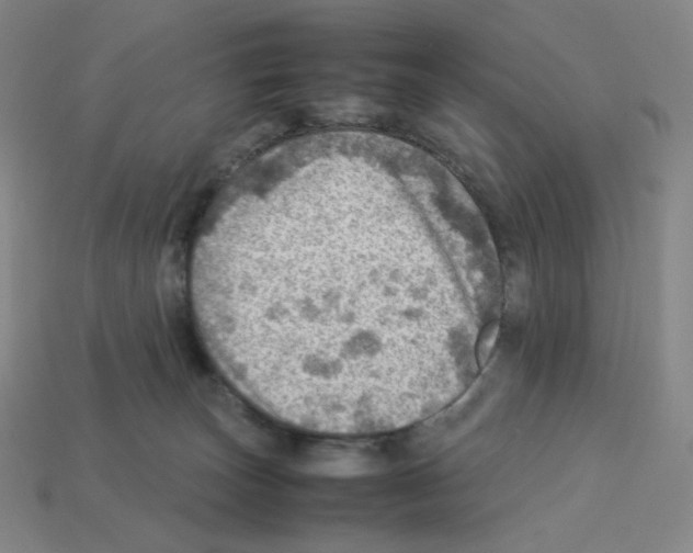 X0000112770179200910011244