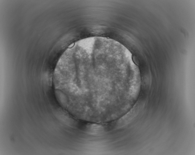 X0000112770180200910011244