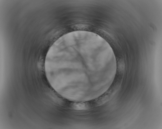 X0000112770181200910011244