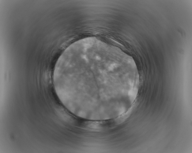 X0000112770182200910011244