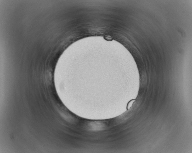 X0000112770183200910011244