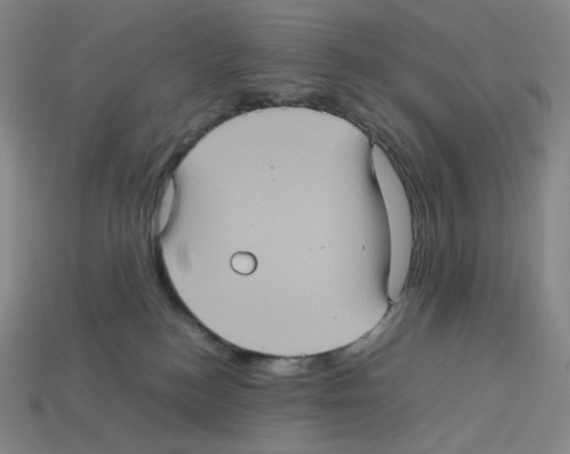 X0000112770184200910011244