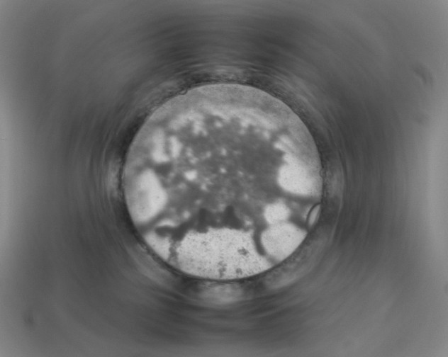 X0000112770185200910011244