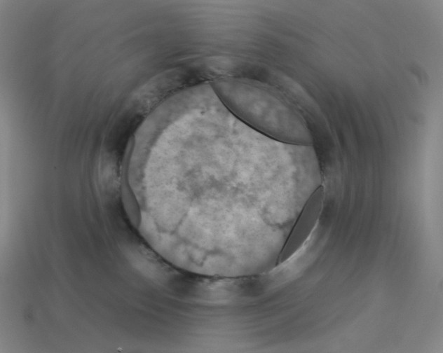 X0000112770186200910011244