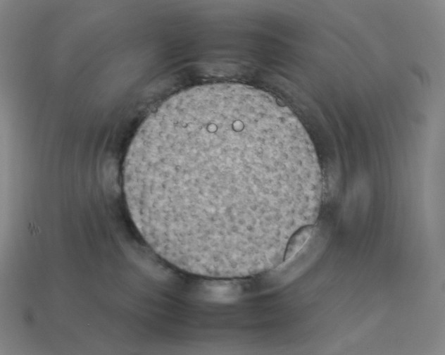 X0000112770187200910011244