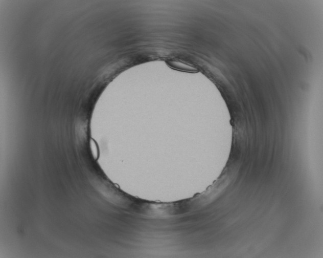 X0000112770188200910011244