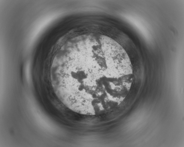 X0000112770189200910011244