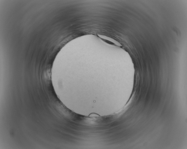 X0000112770190200910011244