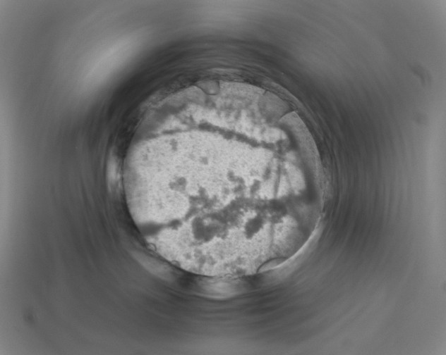 X0000112770191200910011244