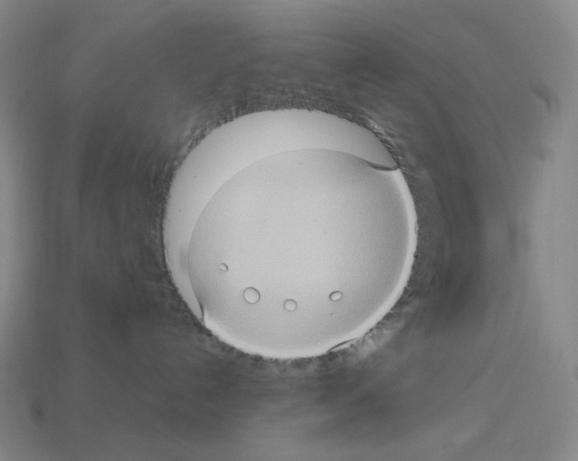 X0000112770192200910011244