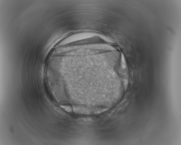 X0000112770194200910011243