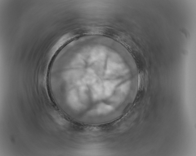 X0000112770195200910011243