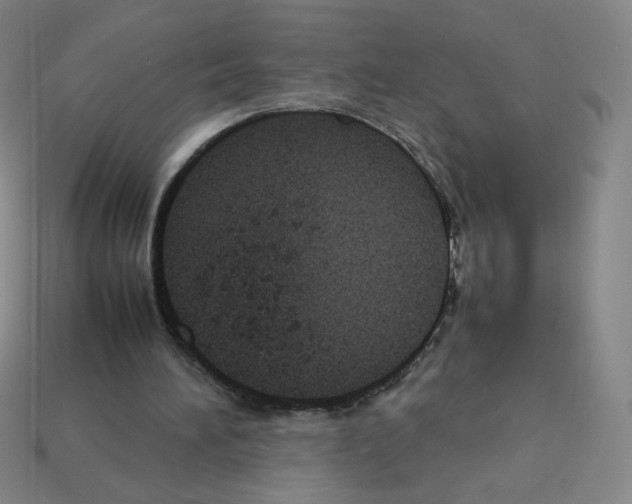 X0000112770196200910011243