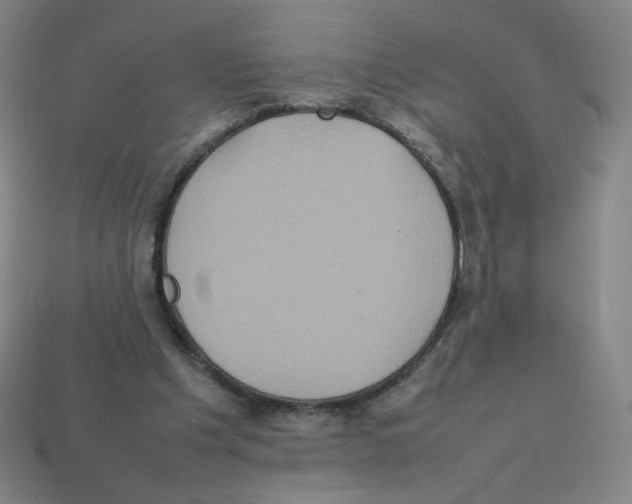 X0000112770201200910011243