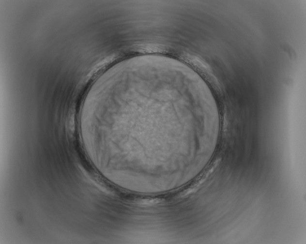 X0000112770202200910011243