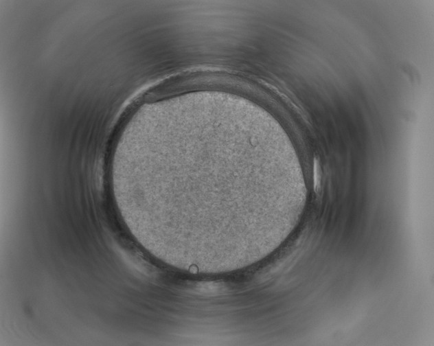 X0000112770204200910011243