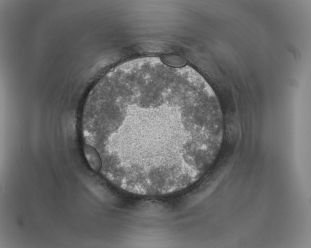 X0000112770207200910011243