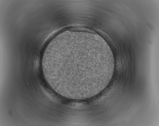 X0000112770208200910011243