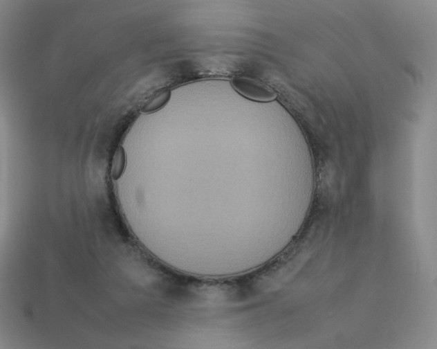 X0000112770209200910011243