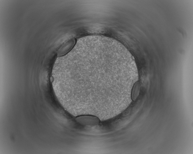 X0000112770211200910011243