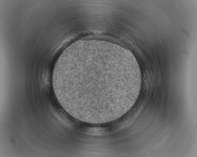 X0000112770212200910011243