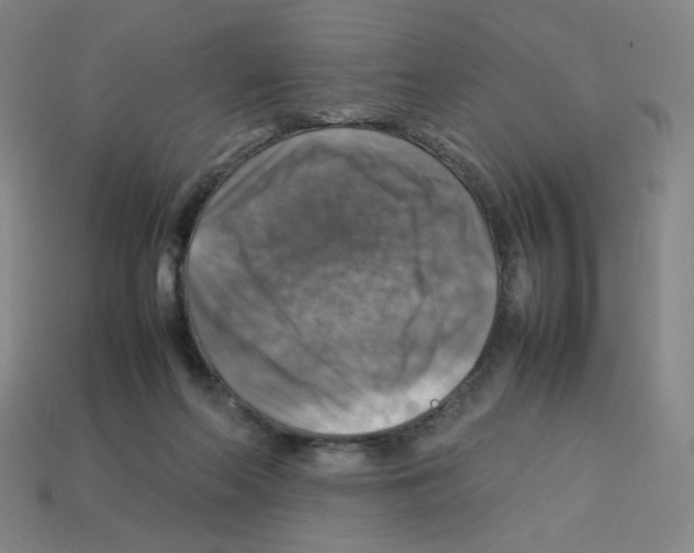 X0000112770214200910011243