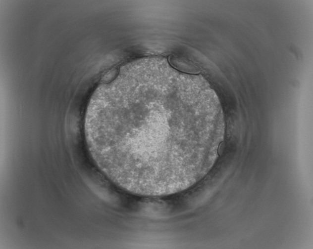 X0000112770215200910011243