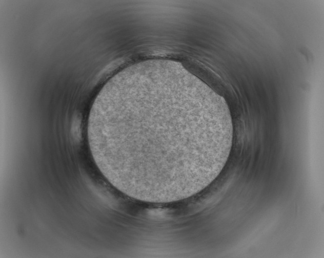 X0000112770216200910011243