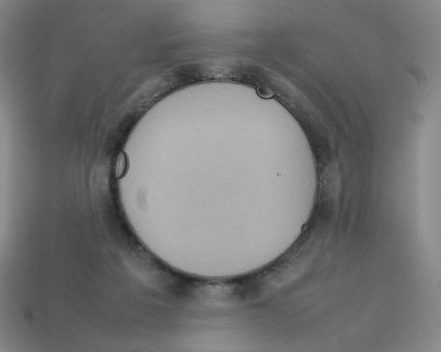 X0000112770217200910011243