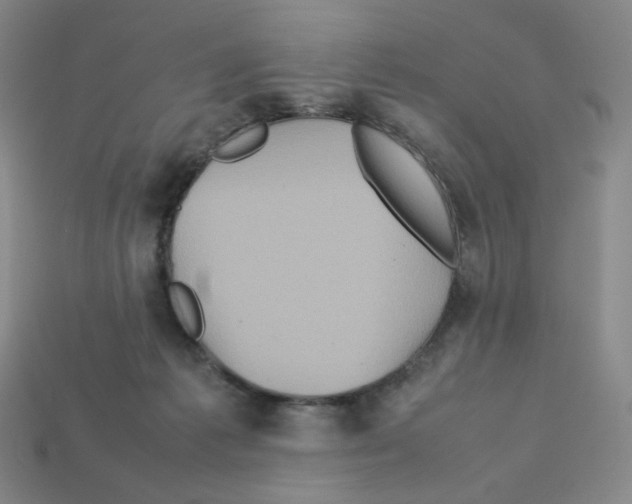 X0000112770221200910011243