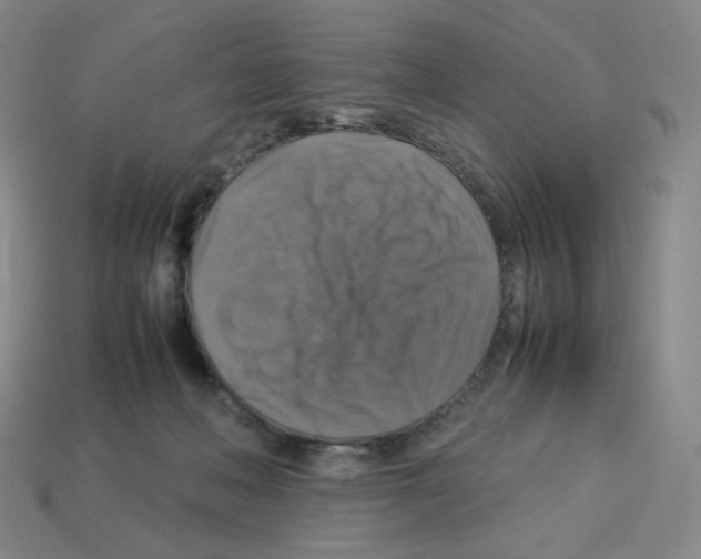 X0000112770222200910011243