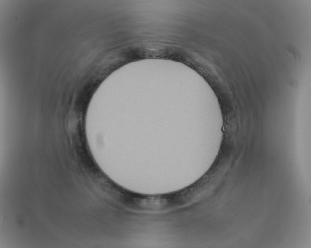 X0000112770225200910011243