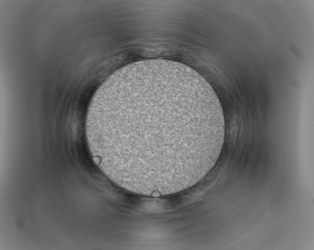 X0000112770226200910011243