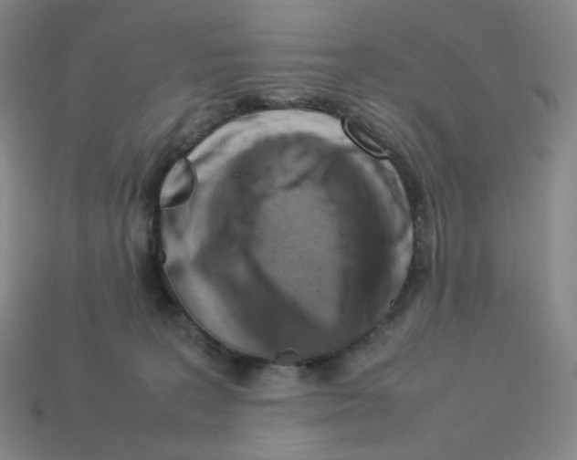 X0000112770227200910011243