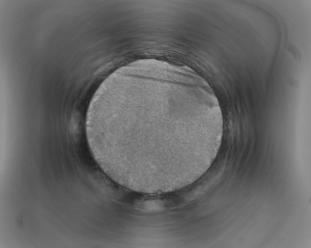 X0000112770228200910011243