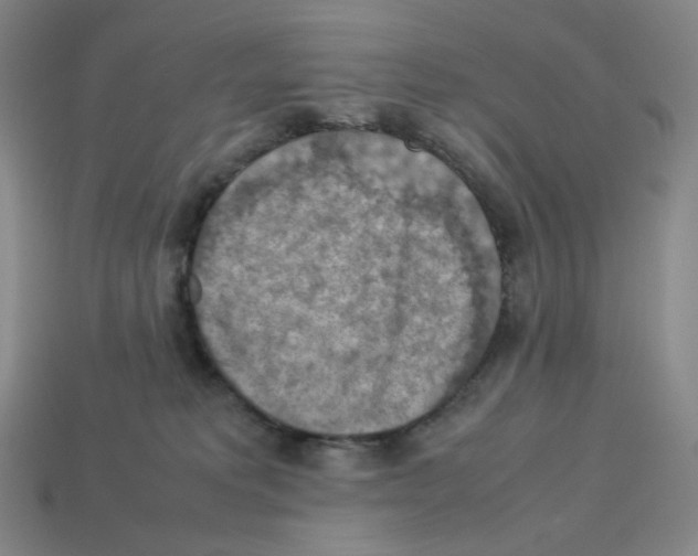 X0000112770229200910011243