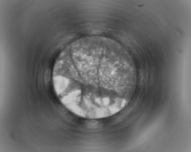 X0000112770230200910011243