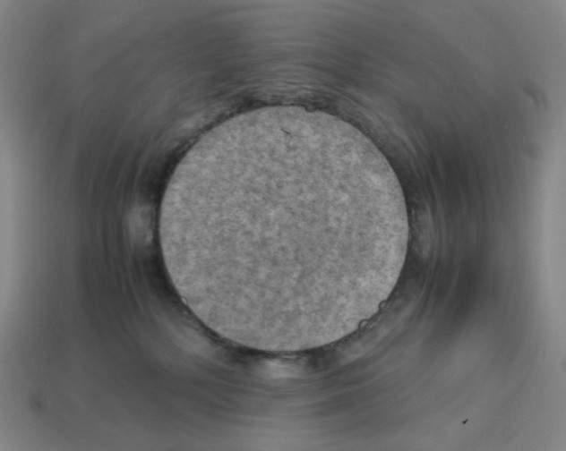 X0000112770232200910011243