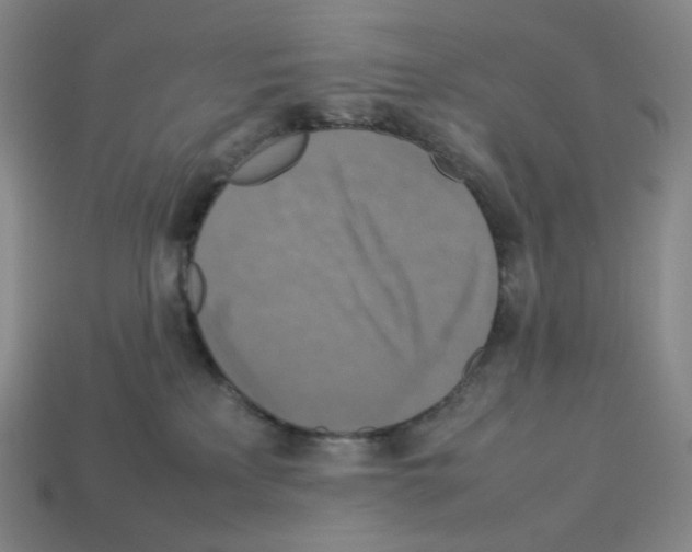 X0000112770233200910011243