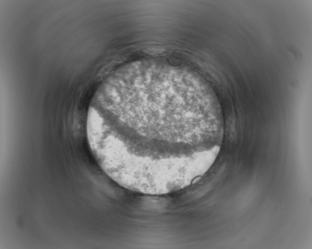 X0000112770234200910011243