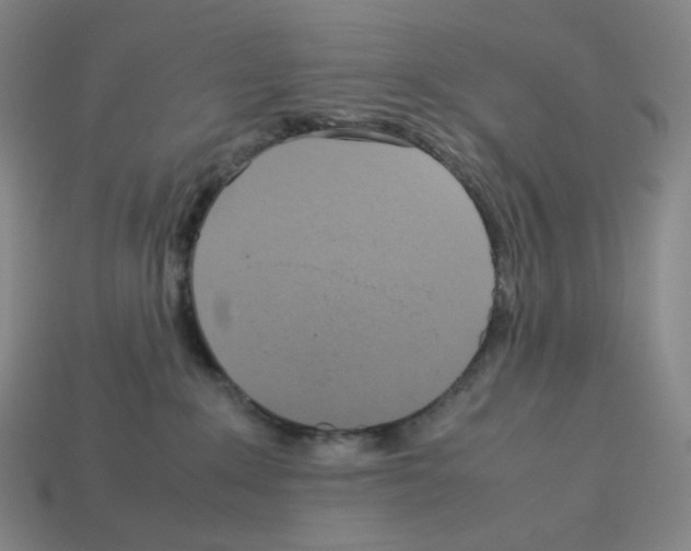 X0000112770235200910011243