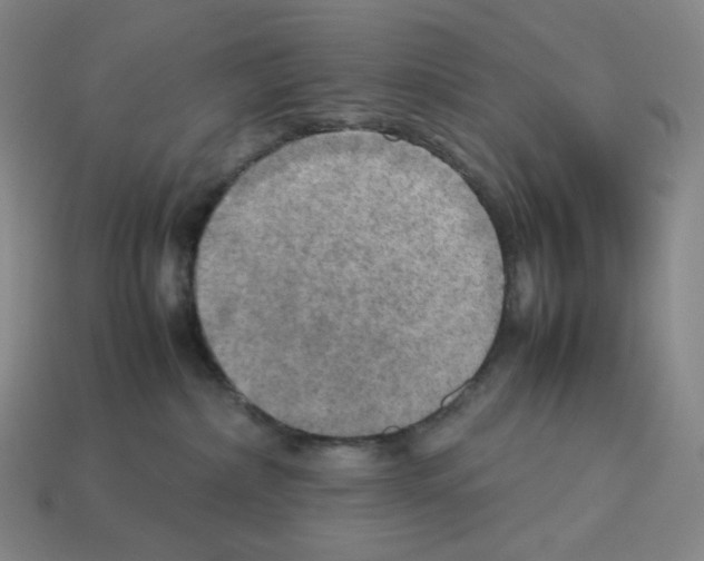 X0000112770236200910011243