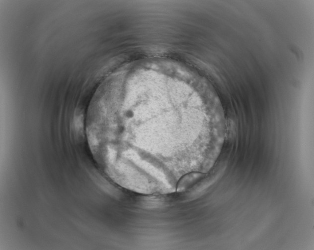 X0000112770238200910011243