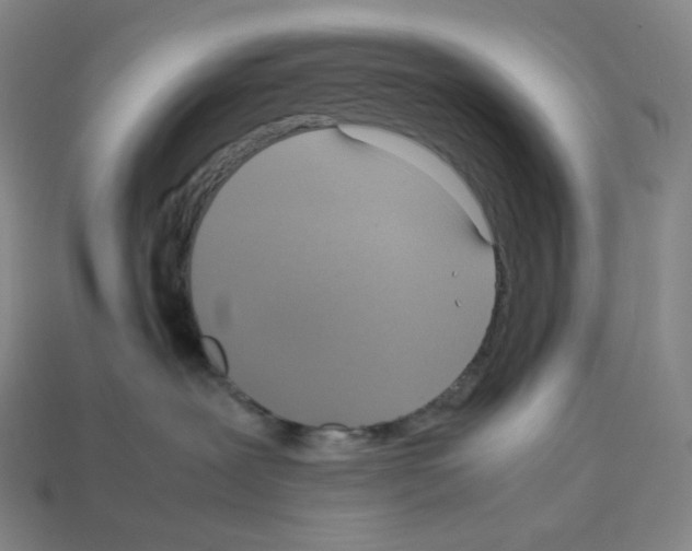 X0000112770239200910011243